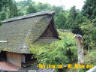 Rice straw roof in Mt. Mitake area.