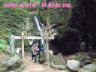 Another waterfall in Mt. Mitake area.